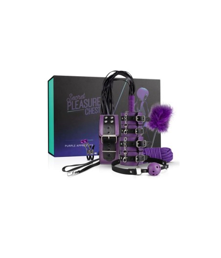 Secret Pleasure Chest Purple Apprentice