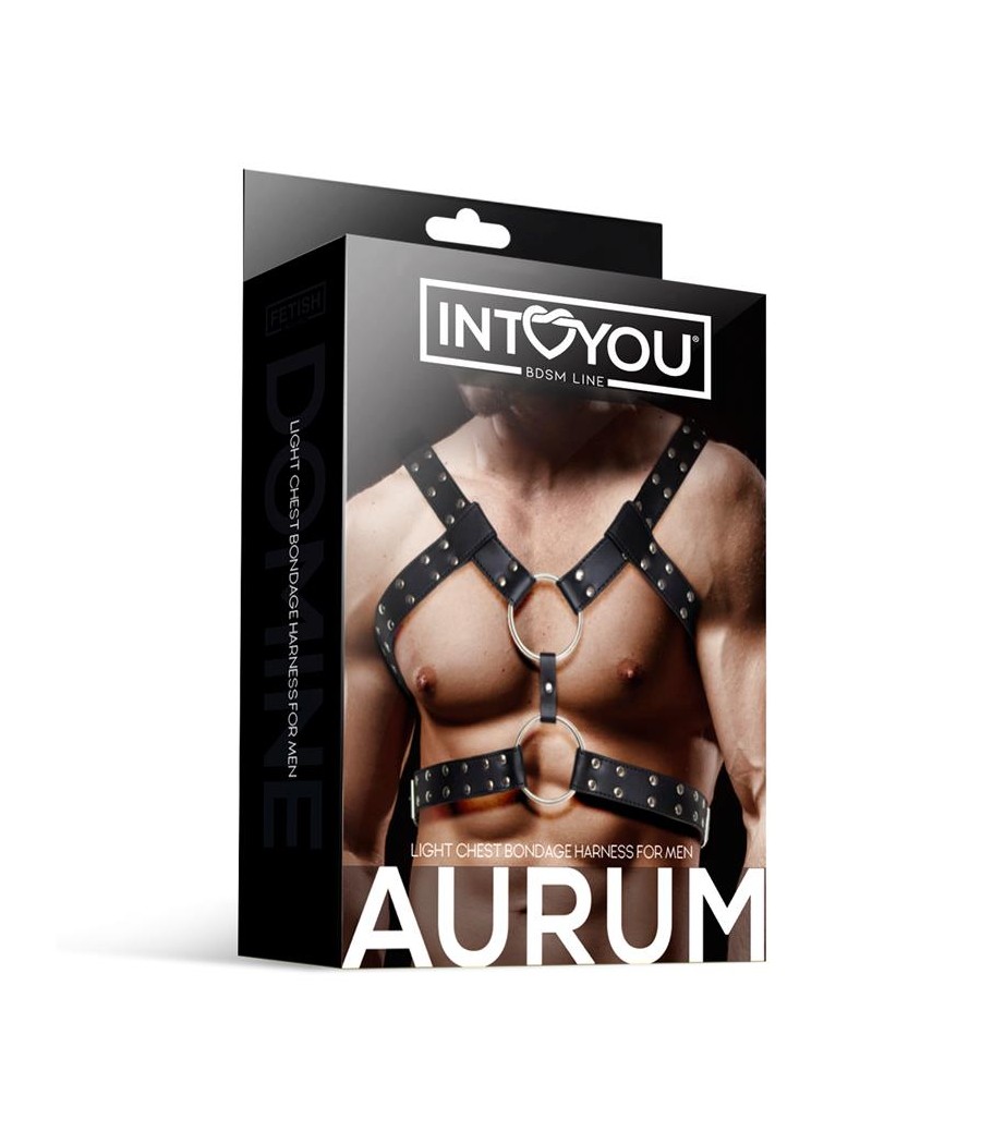 Aurum Arnes Masculino para Bondage Cuero Vegano