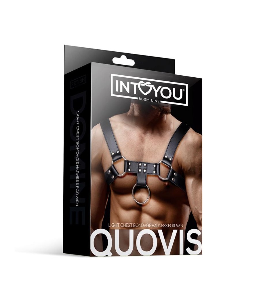 Quovis Arnes Masculino para Bondage Cuero Vegano