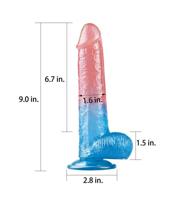 Dildo Dazzle Studsv 9 Rosa y Azul