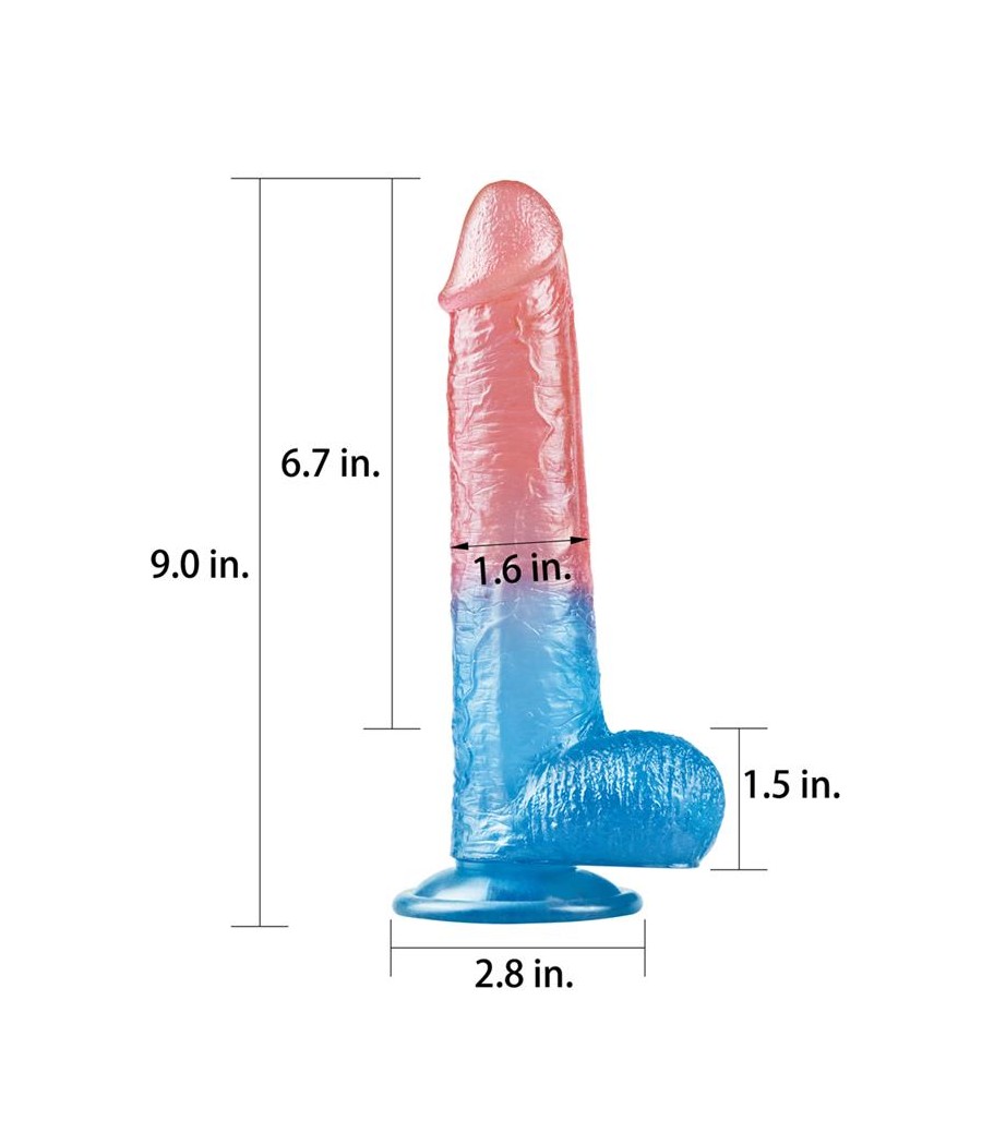 Dildo Dazzle Studsv 9 Rosa y Azul