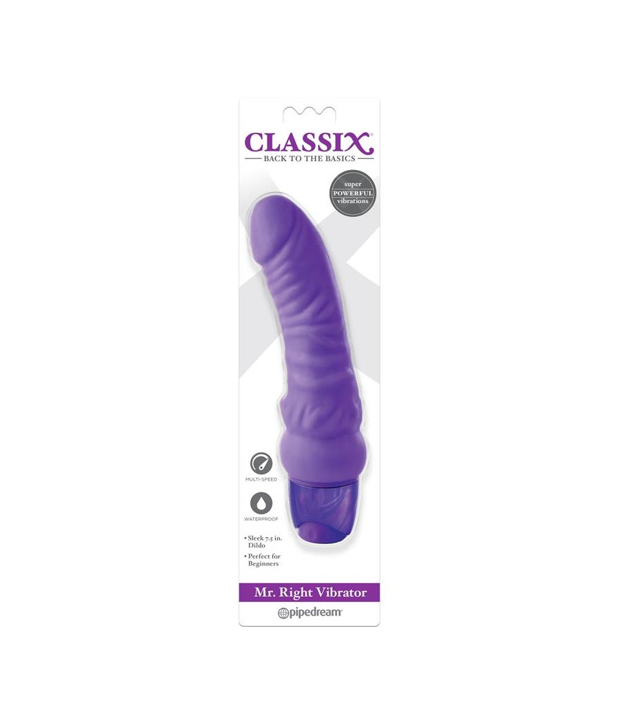 Vibrador Mr Right Purpura