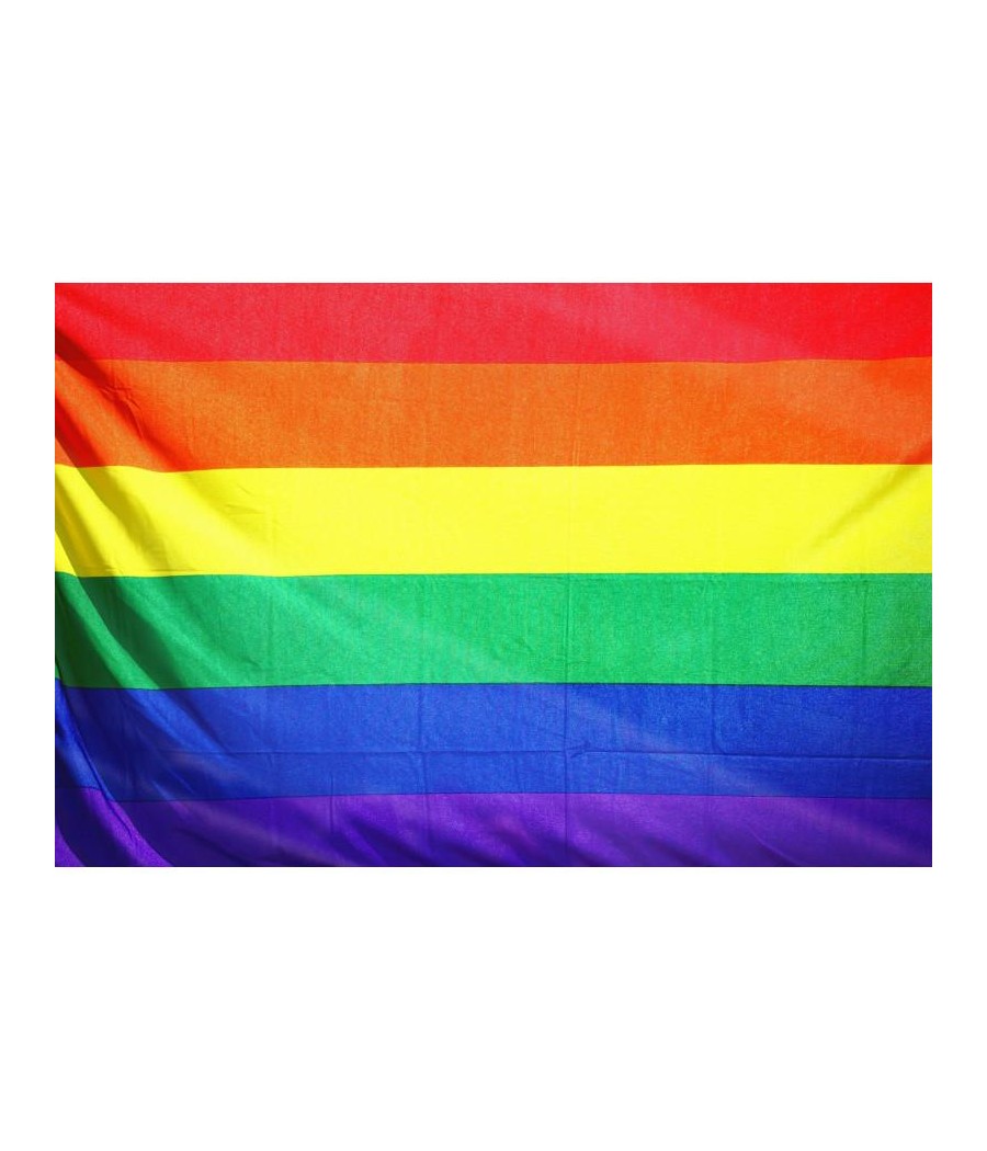 Bandera Orgullo LGBT 90 cm