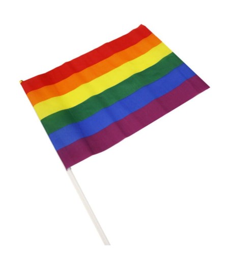 Banderin Grande Colores Bandera LGBT+