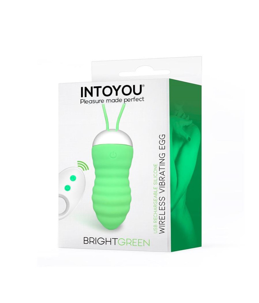 Brightgreen Huevo Vibrador Control Remoto USB Silicona