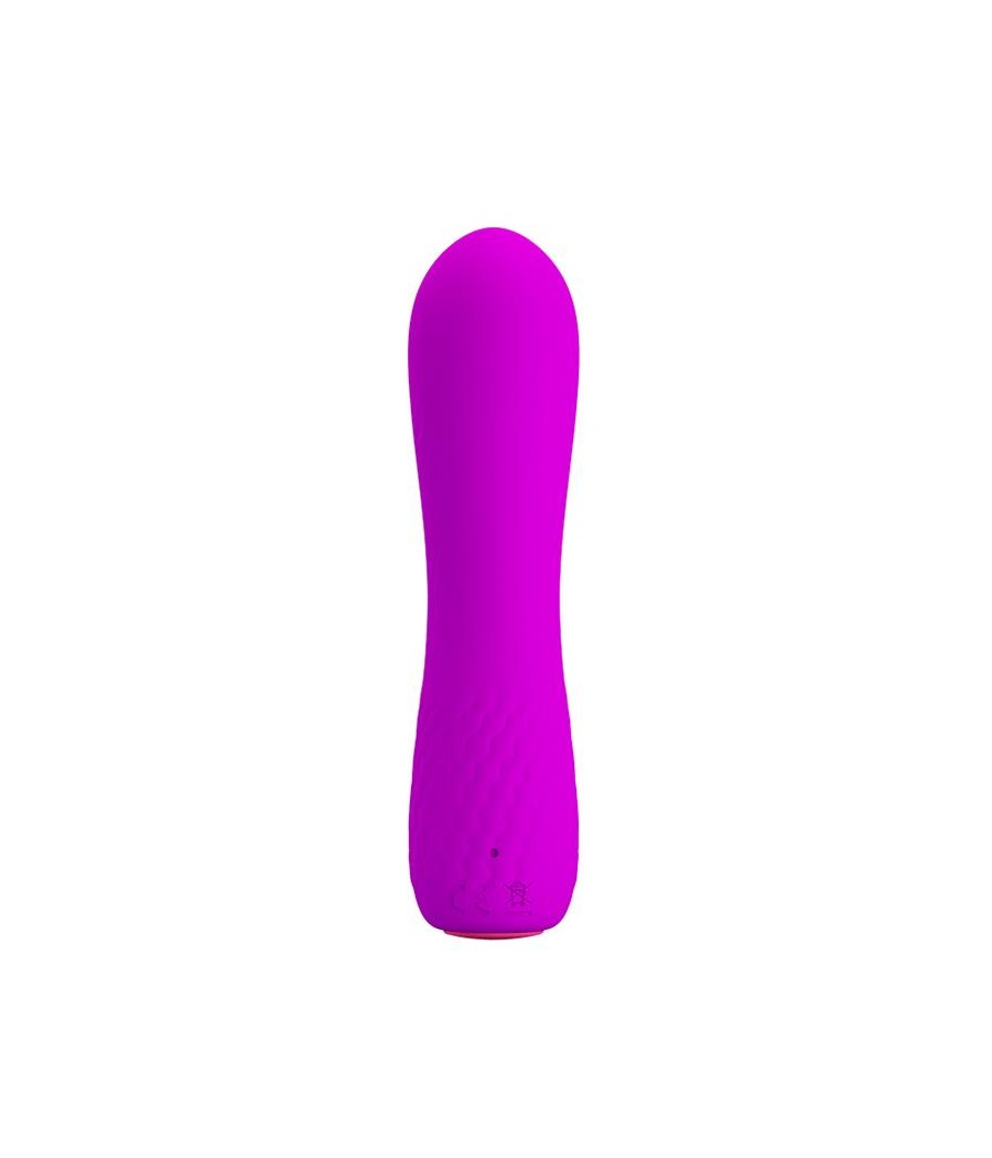 Estimulador Beau USB Purpura