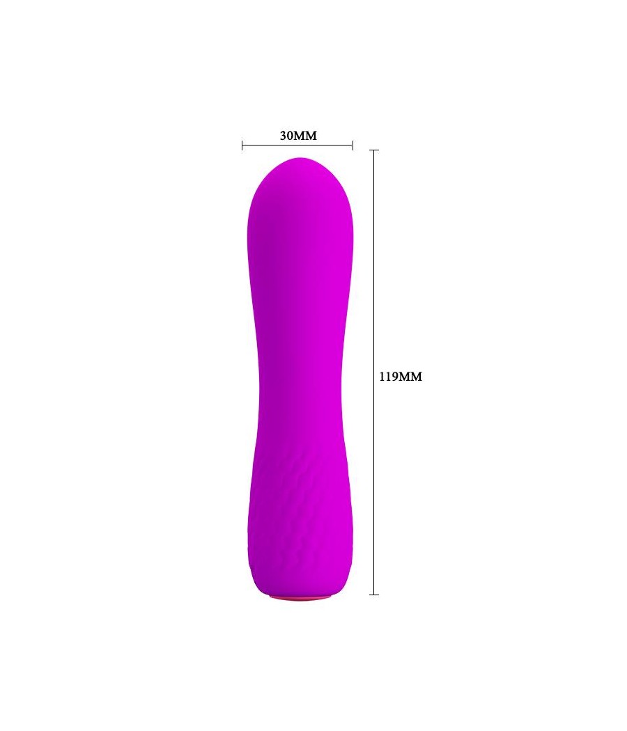 Estimulador Beau USB Purpura