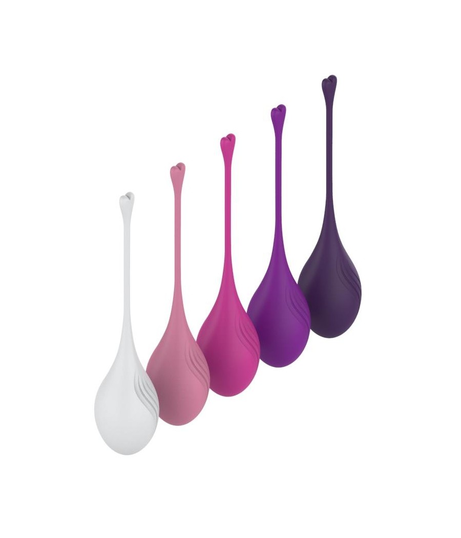 Set de 5 Bolas Kegel Diferentes Pesos