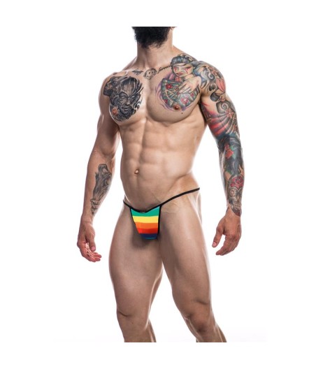 C4M12 Briefkini Arcoiris Rainbow