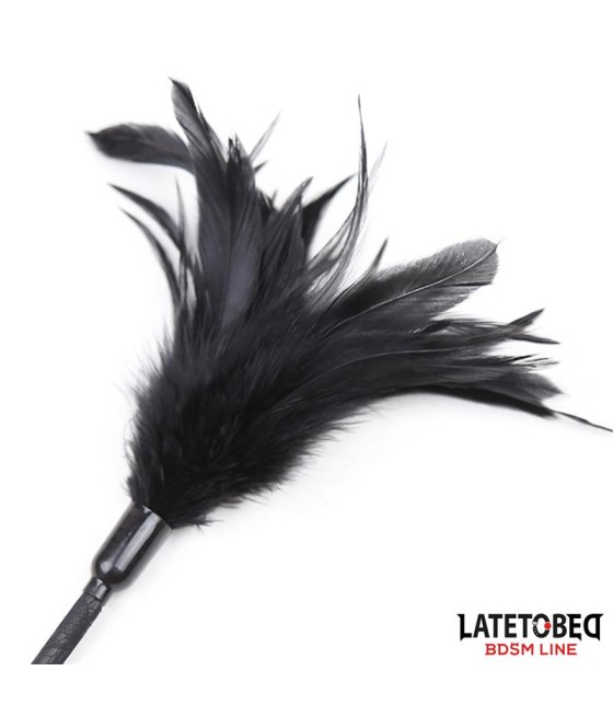 Multi Feathers Tickler and Lace Ribbon Paddle Comb