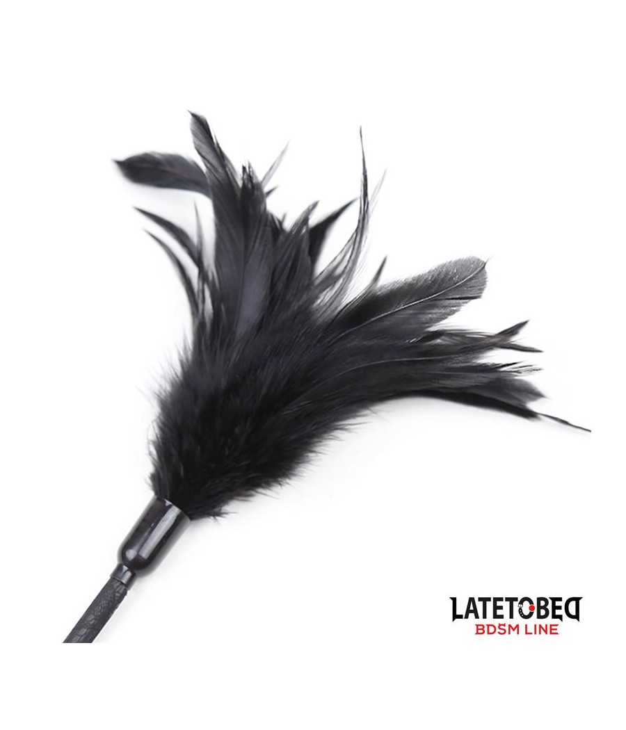 Multi Feathers Tickler and Lace Ribbon Paddle Comb