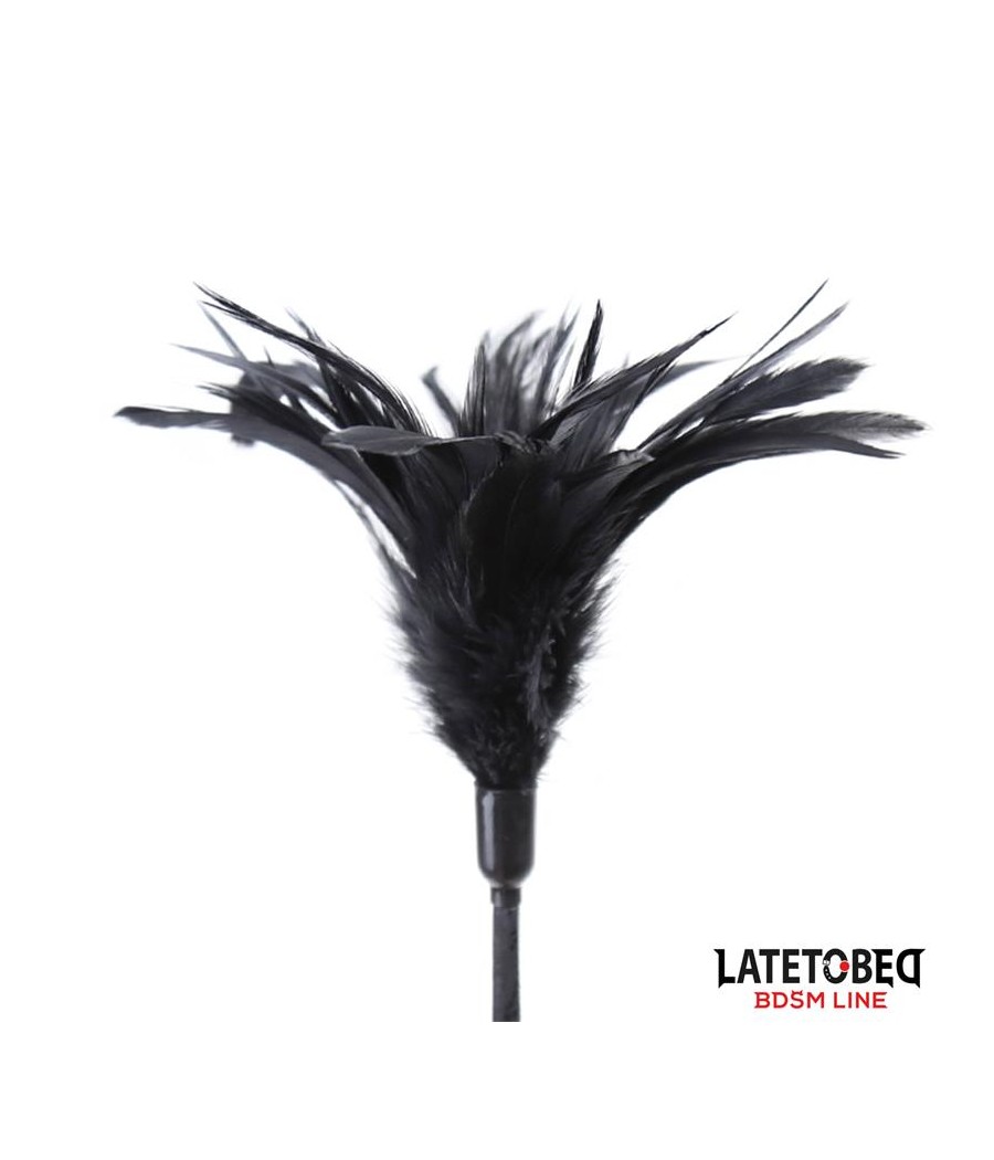 Multi Feathers Tickler and Lace Ribbon Paddle Comb