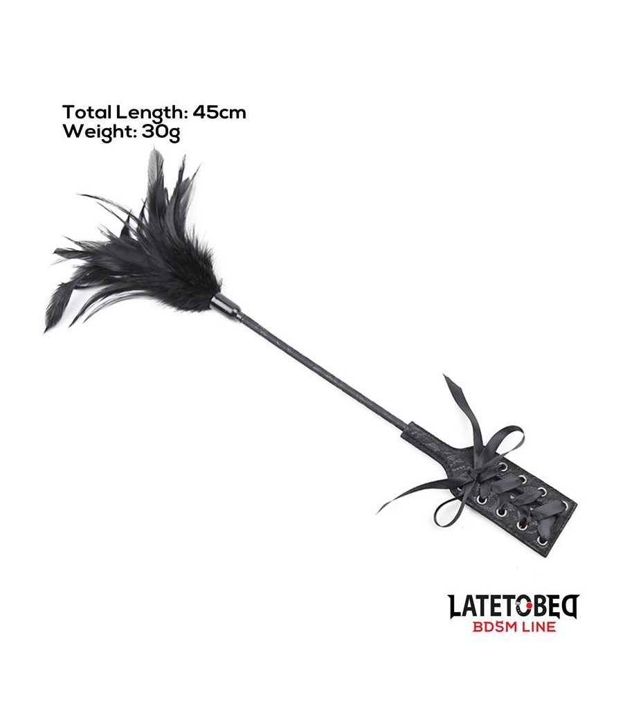 Multi Feathers Tickler and Lace Ribbon Paddle Comb