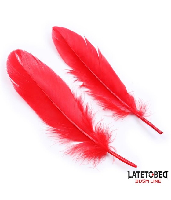 Set de 3 Piezas Antifaz Plumas y Esposas