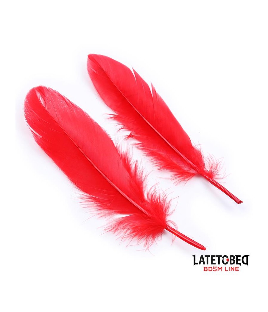 Set de 3 Piezas Antifaz Plumas y Esposas