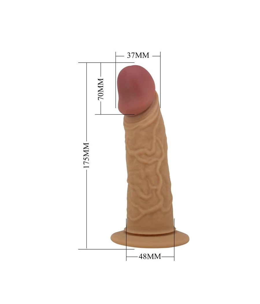 Houston Arnes Universal Ajustable con Dildo Hueco