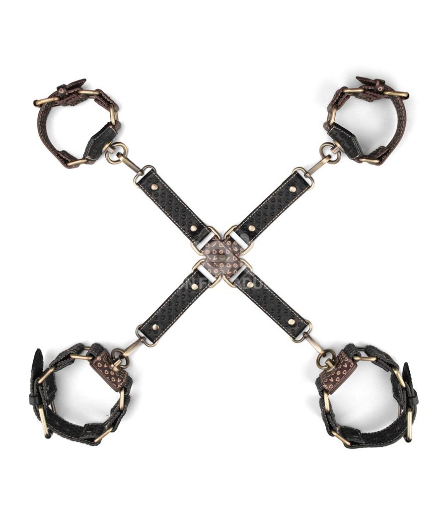 Rebellion Reign Ataduras Hogtie Set