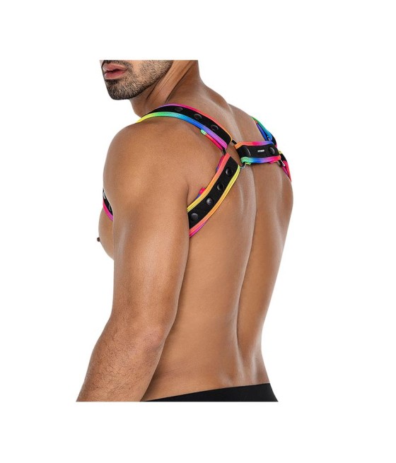 H4RNESS05 Arnes de Pecho Neon MultiColor Talla unica