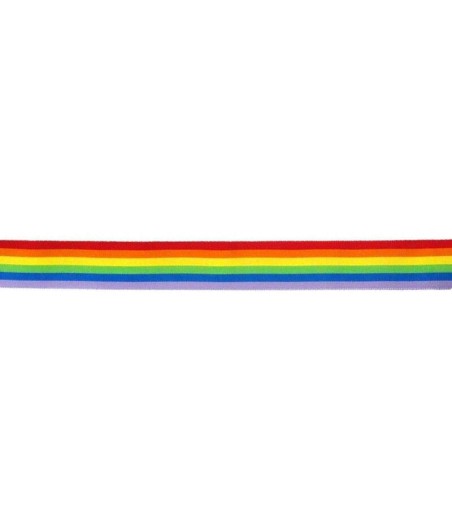 Banda Colores Bandera LGBT+