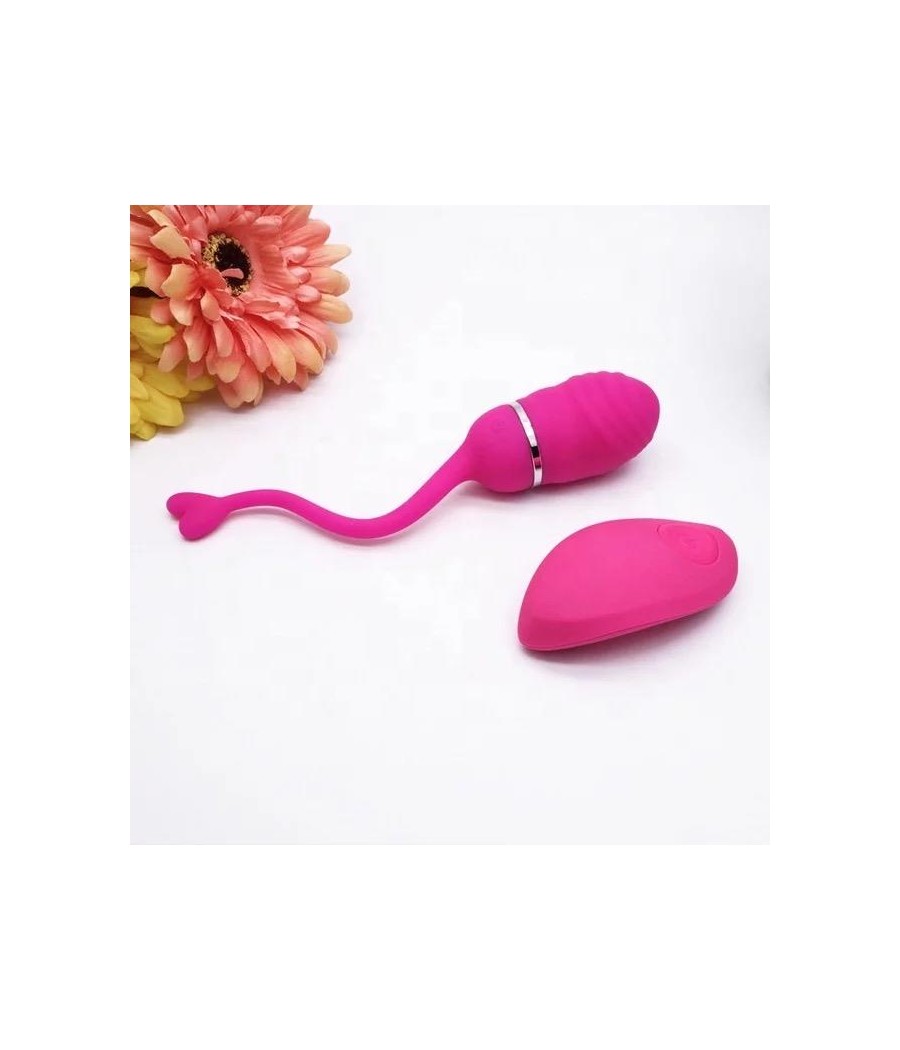 Huevo Vibrador Control Remoto Odise USB Silicona Rosa