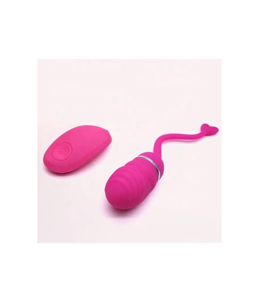 Huevo Vibrador Control Remoto Odise USB Silicona Rosa