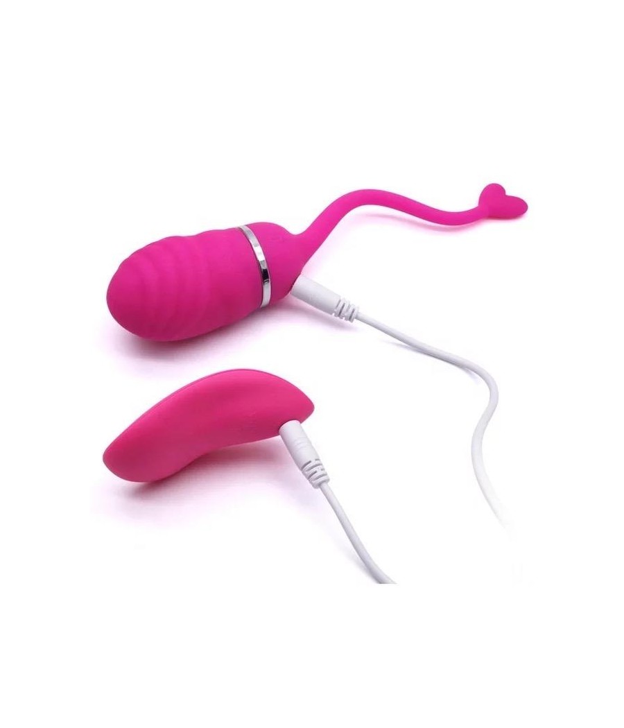 Huevo Vibrador Control Remoto Odise USB Silicona Rosa