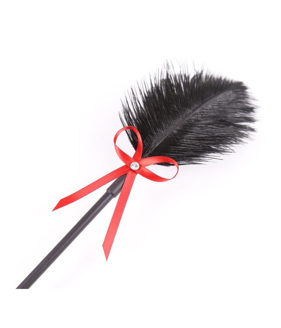 Plumas y Pala 2 en 1 36 cm Negro Rojo